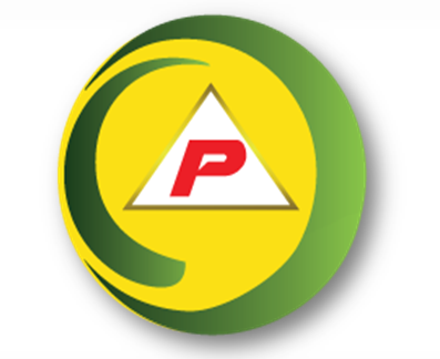 Professional Services Provider